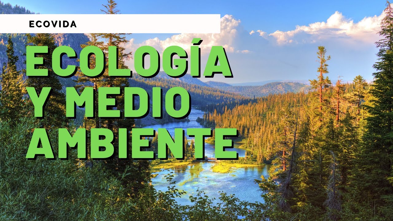 relacion de ecologia y educacion ambiental