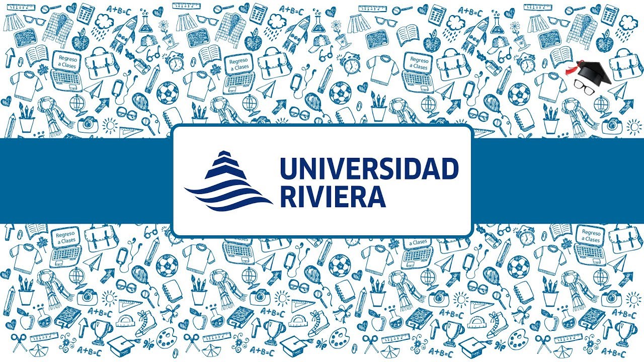 universidades en playa del carmen privadas