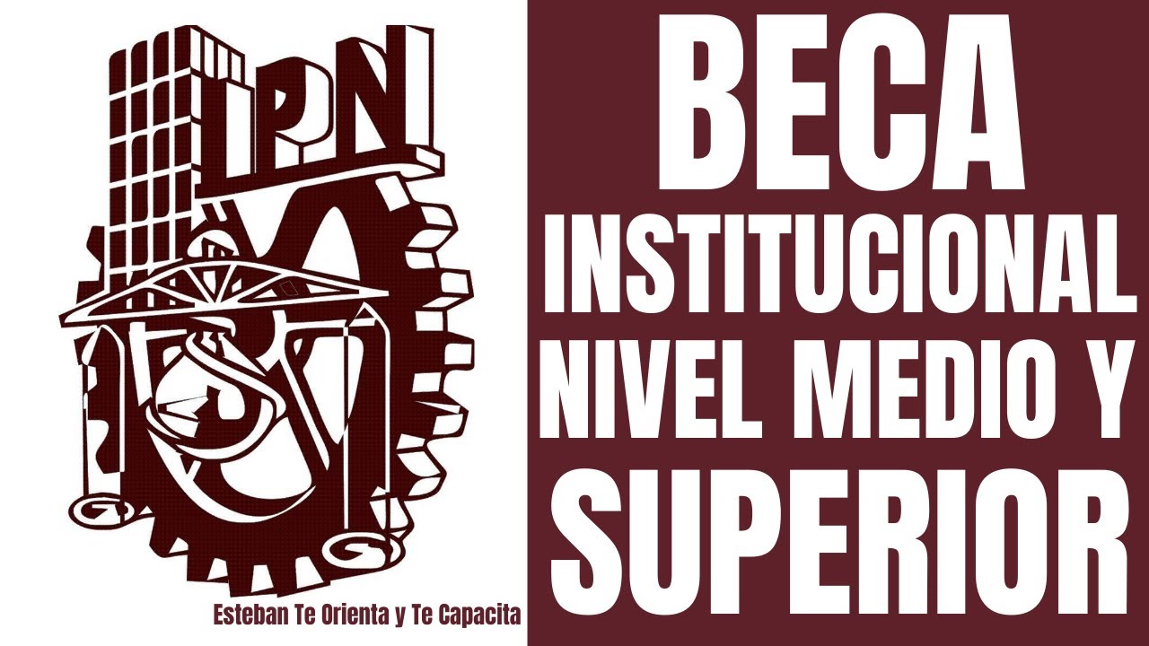 beca institucional ipn tipo b nivel superior