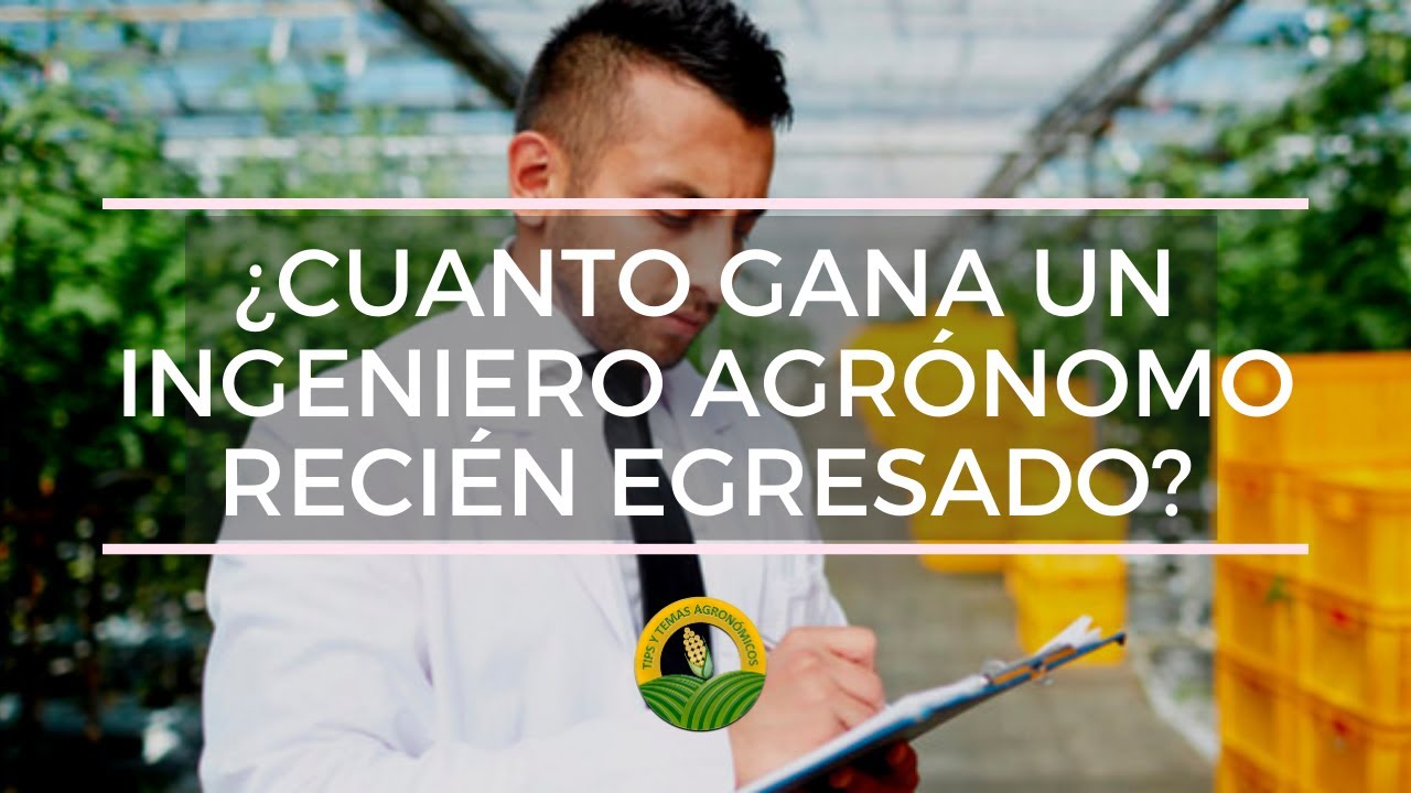 cuál es el sueldo de un ingeniero agronomo