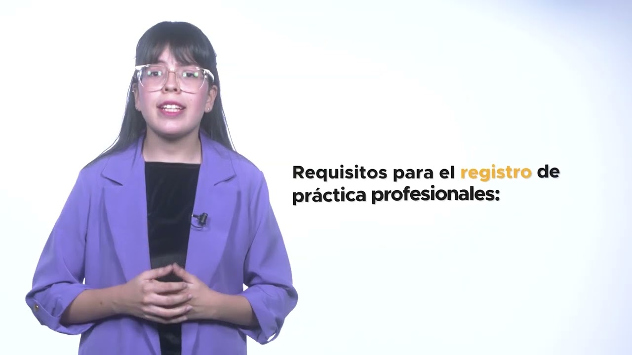 en que consisten las practicas profesionales
